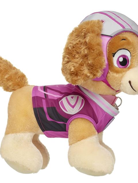 PAW Patrol Skye Costume